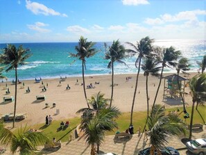 A beach with palm trees, a sandy shore, and a clear blue sky.