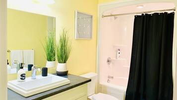 Combined shower/bathtub, hair dryer, toilet paper