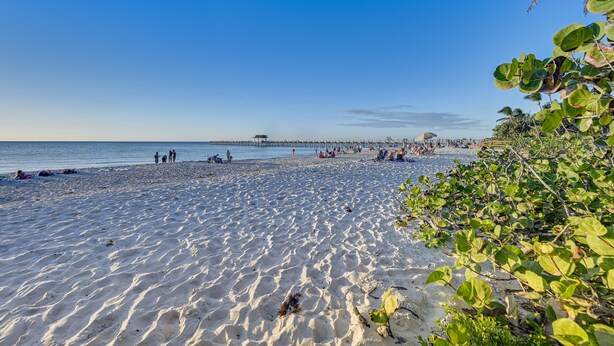 Een zandstrand met een pier in de verte, palmbomen en mensen die van de omgeving genieten.