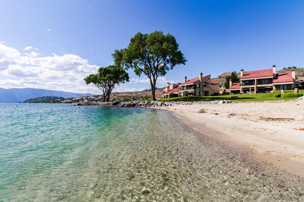 بالقرب من الشاطئ