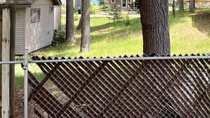 A fenced property with a small shed, tall trees, and a house in the background. - Lake Huron Cottage (East Tawas)