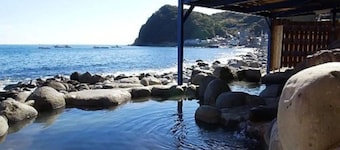 Ocean view spreading in front of you A starry s / Kamo-gun Shizuoka