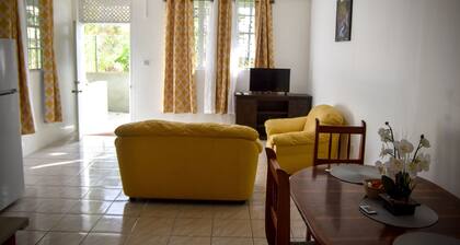 Large 2 Bedroom 2 Bathroom Apartment #4 in Roseau. Bus stops right in front!