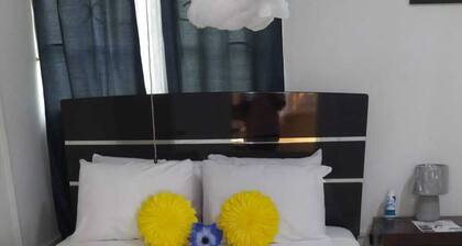 Large 2 Bedroom 2 Bathroom Apartment #4 in Roseau. Bus stops right in front!