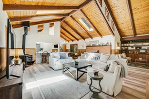 Fernseher, Kamin, Netflix, Bücher