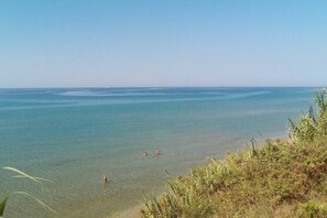 A coastal view with clear water, a sandy beach, and some vegetation.