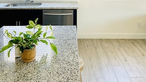 Una cocina con encimeras de granito, un lavamanos y un lavavajillas. Hay dos ventanas con persianas, un armario oscuro y una planta sobre la encimera.