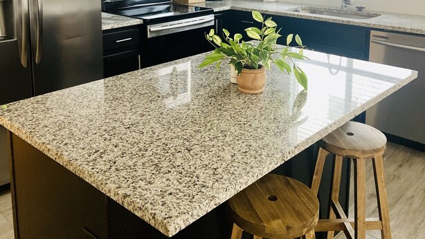 Una cocina moderna con armarios oscuros, electrodomésticos de acero inoxidable, una encimera de granito y una planta en maceta.