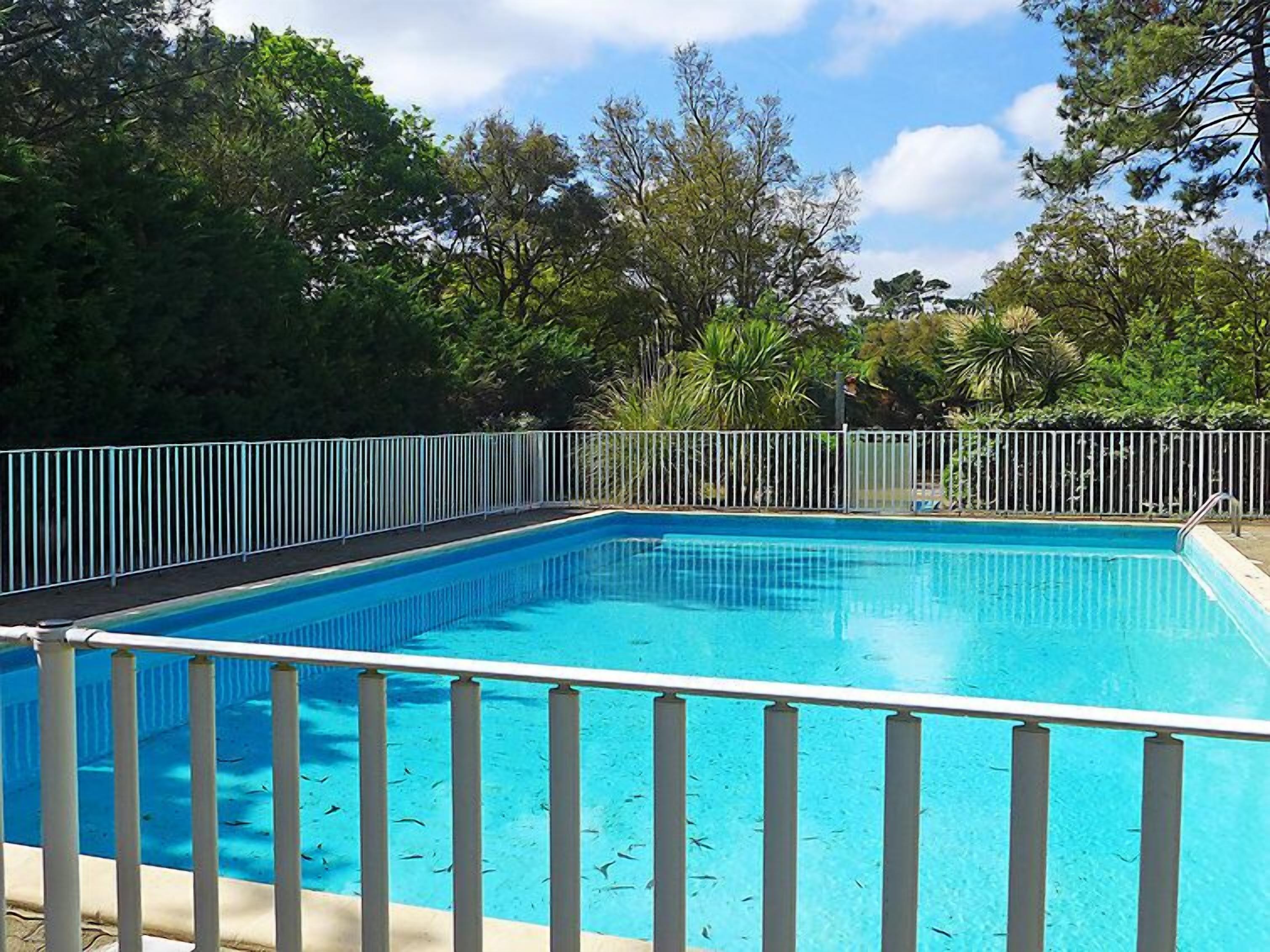 Une piscine rectangulaire entourée d’une clôture métallique blanche, avec en arrière-plan une végétation luxuriante et un ciel dégagé.