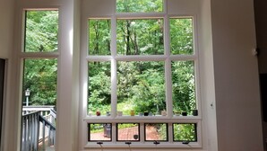 A large multi-pane window with a view of a lush garden.