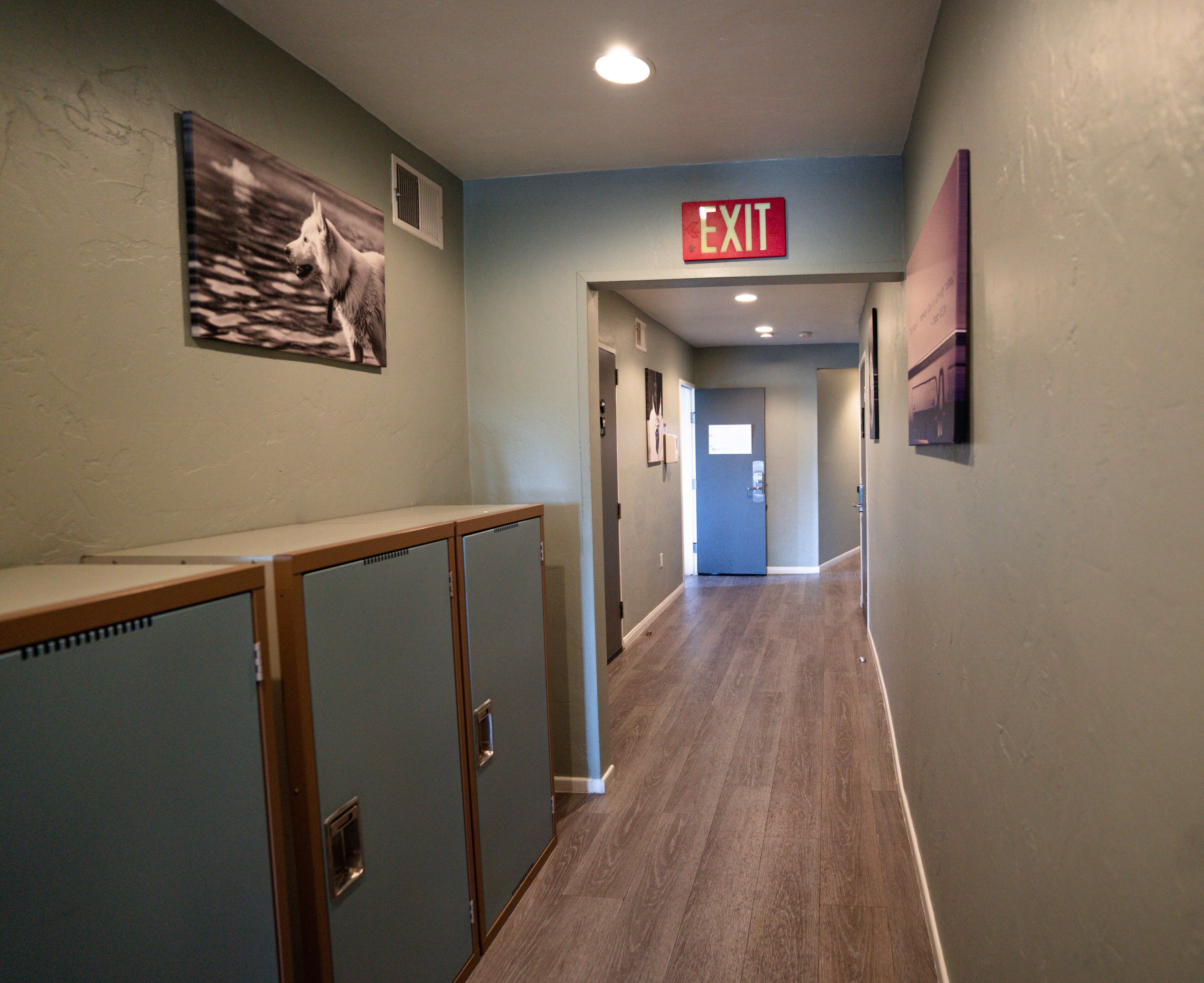 Photo - California Dreams Hostel - Ocean Beach