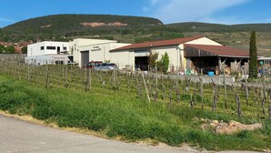A vineyard with a white building labeled "Domaine GUETH" and a red car parked in front. - Chambre D'hôtes sur Domaine Viticole Proche Colmar Eguisheim sur Route des Vins (GUEBERSCHWIHR)