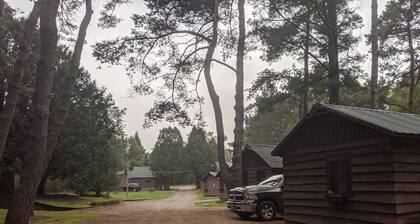 Moreno's Cottages Cabin #10 -2 Bed/2 Bath Adirondack 4 season Cabin in the pines