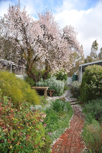 Emma Tiver Heritage Cottage -restored Miner's Cottage - step back to circa 1856