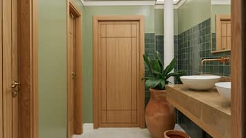 Un baño con puerta de madera, un espejo grande, un lavamanos y dos macetas de terracota.