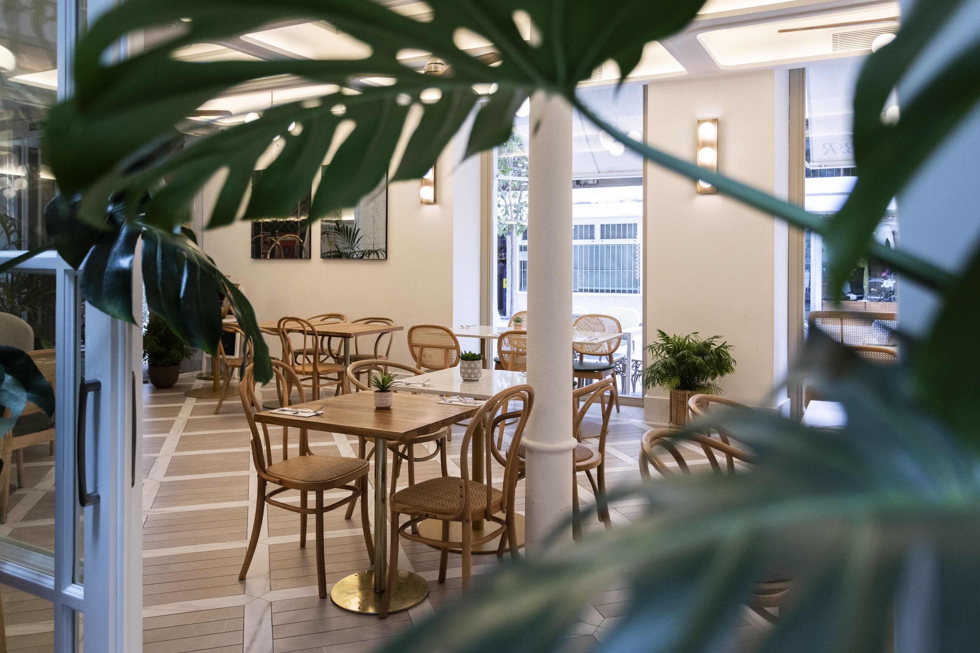A dining area with wooden tables and chairs, potted plants, and a view of the outside.