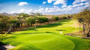 Campo de golf con un mástil de bandera, árboles y cielo despejado.