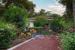 Terrein van de accommodatie