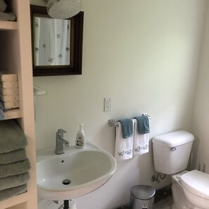 Ensemble douche/baignoire, sèche-cheveux, serviettes fournies, savon