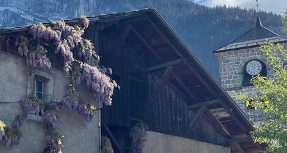 Savoyard Chalet with Wood Stove and Grand Massif View