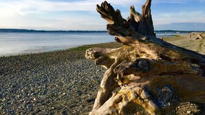 Beach - Birch Bay Beach Cabana - a tiny oasis close to everything at the Bay. Pets OK (Blaine)