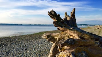 Beach nearby, sun-loungers