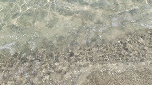 Eau claire et peu profonde, avec du sable et de petits rochers visibles au fond.