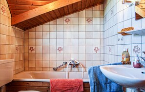 Combined shower/tub, hair dryer