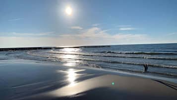 Vlak bij het strand