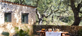 Cosy forest house to disconected & meet nature