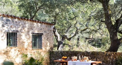 Cosy forest house to disconected & meet nature