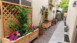 A narrow outdoor corridor with wooden planters and potted plants, a wooden lattice fence, and a concrete path. - Charming Private Mission Bay Studio 2 (San Diego)