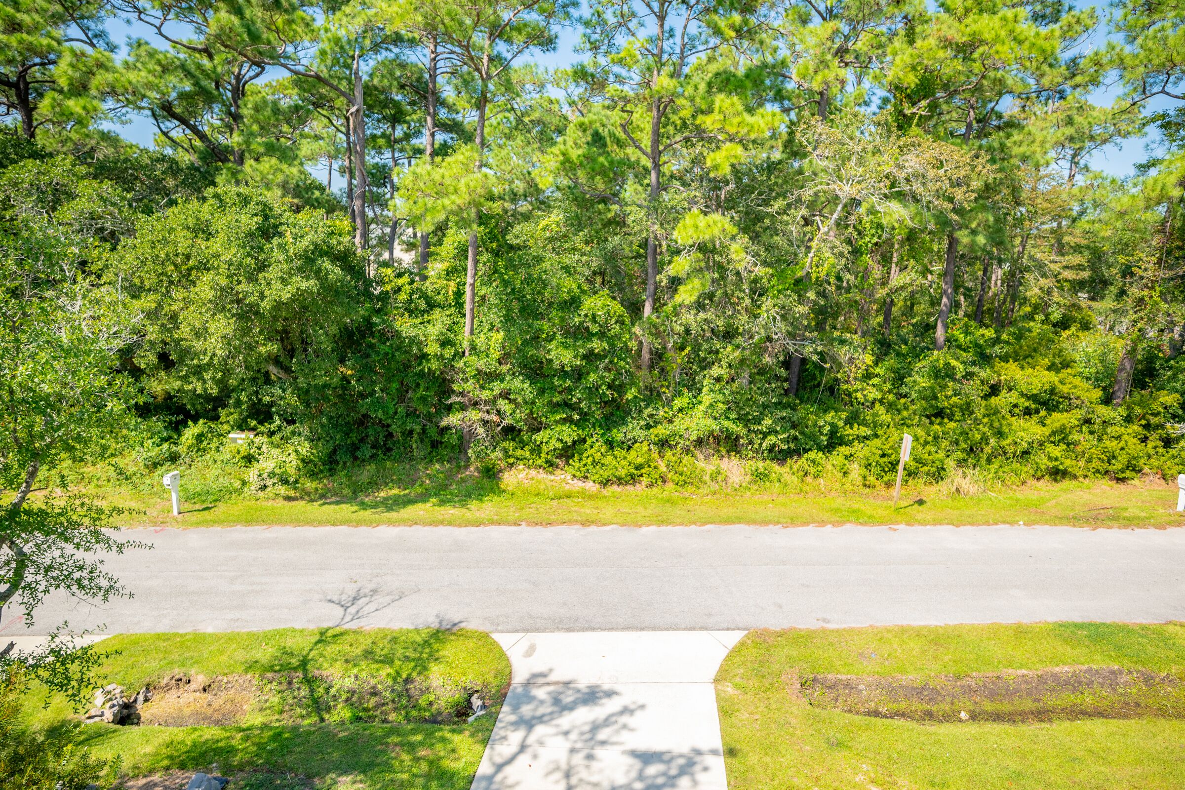 A residential street with a sidewalk, surrounded by dense green trees and a clear sky.
