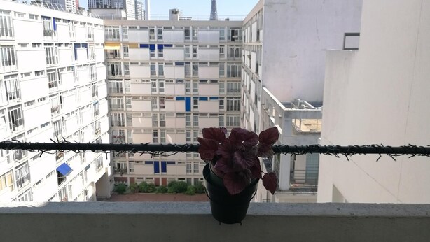 A balcony with a table set for breakfast, including croissants, coffee, and berries. - Location 31 Juillet au 15 Aout (Paris)