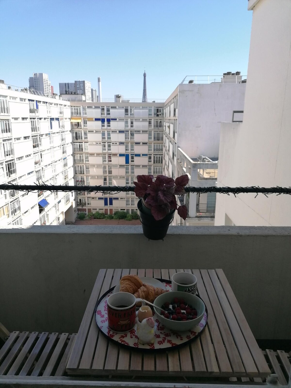 オーナーのプロフィール画像