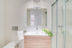 Shower, hair dryer, towels