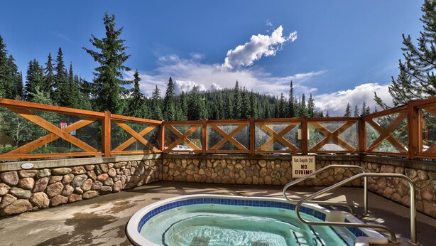 Un jacuzzi con pared de piedra y barandilla de madera, rodeado de árboles y un cielo despejado.