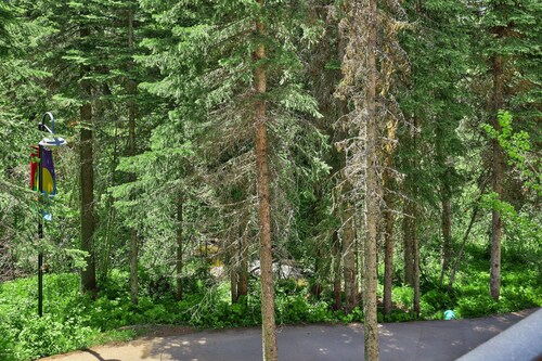 Villagewalk #15 - With EV Charger