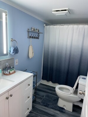 Combined shower/bathtub, hair dryer, towels, soap