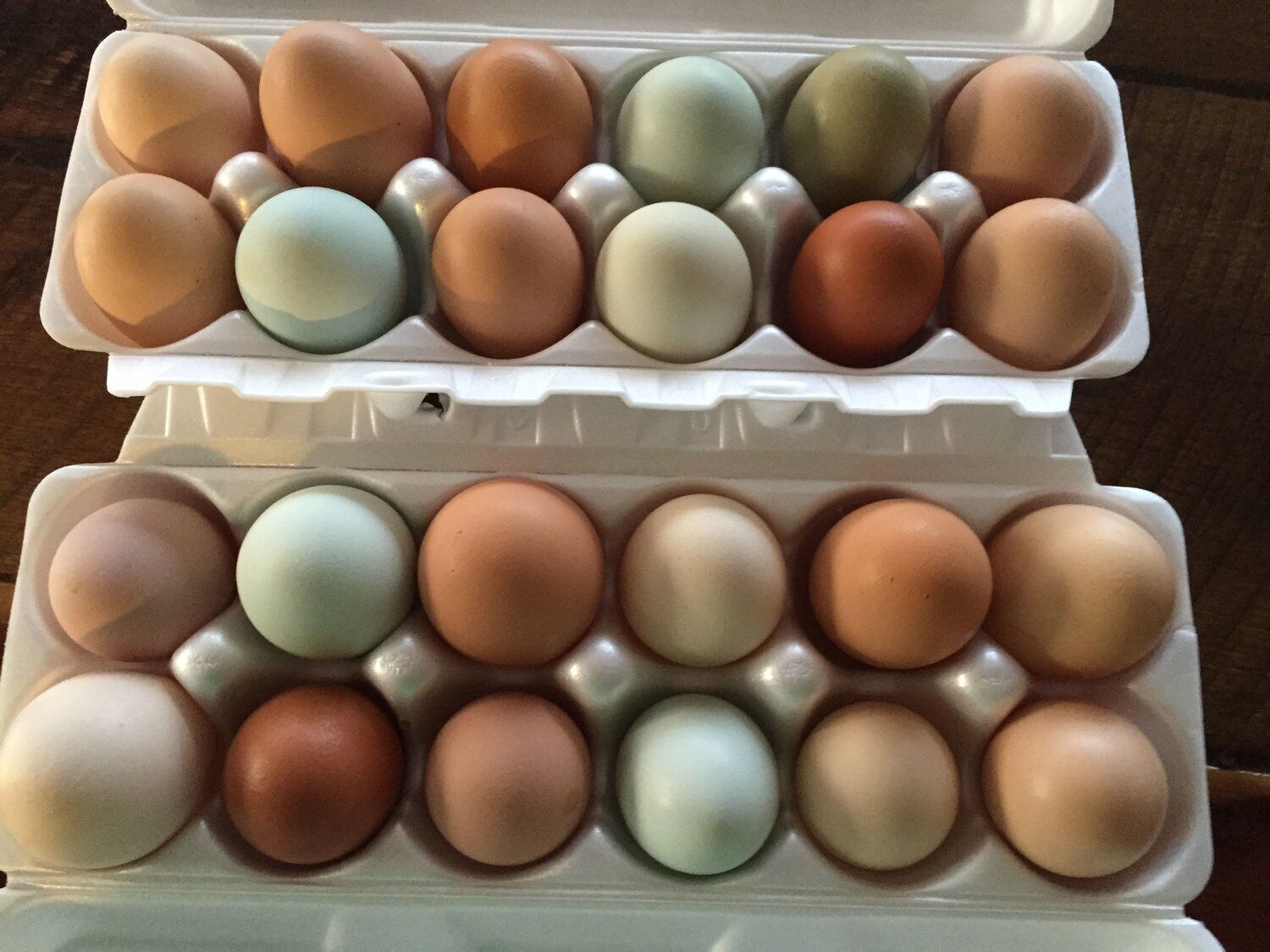 Una cartulina de huevos con huevos de diferentes colores dispuestos en filas.