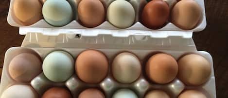 Una cartulina de huevos con huevos de diferentes colores dispuestos en filas.
