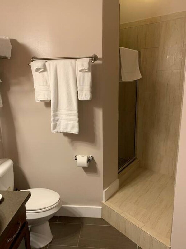Hair dryer - Green Door Lofts-Waco Rose - Silos/Downtown (Waco)