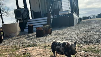 Terrain de l’hébergement