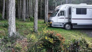 A white RV parked in a forested area with tall trees and some yellow flowers in the foreground. - The Great Escape - Shirley (Sooke)