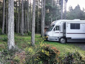 A white RV parked in a forested area with tall trees and some yellow flowers in the foreground.