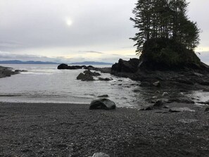En stenig kustlinje med ett träd på en kulle, stilla vatten och berg i fjärran.