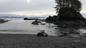 A rocky beach with a prominent tree and distant mountains. - The Great Escape - Port Renfrew & Bunkhouse (Port Renfrew)