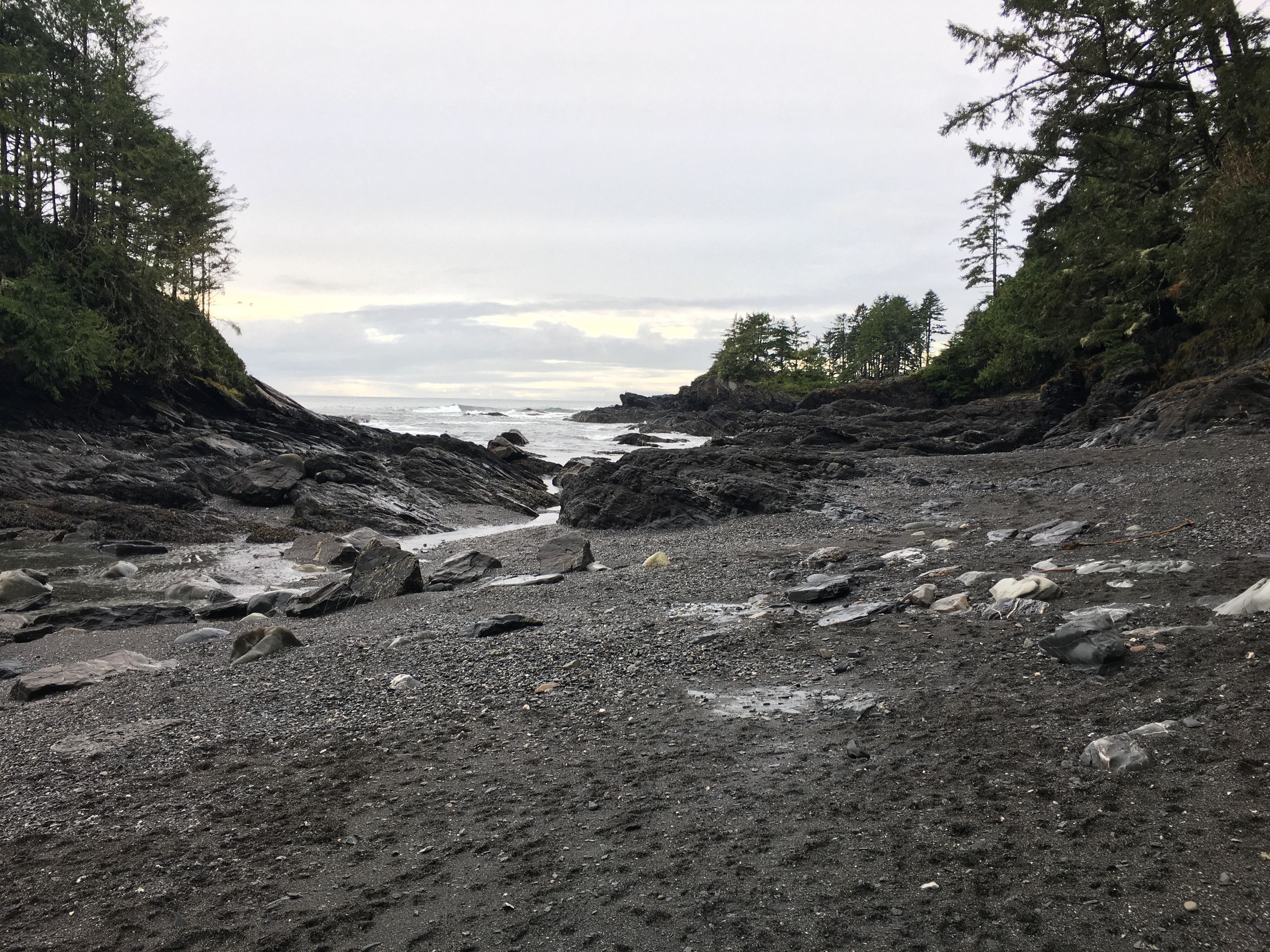 A rocky beach with trees on either side and a view of the ocean.