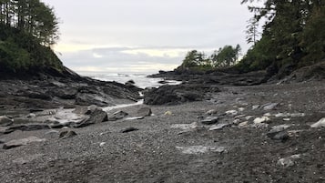 A rocky beach with trees on either side and a view of the ocean.
