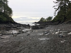Una playa rocosa con árboles a ambos lados y vista al océano.